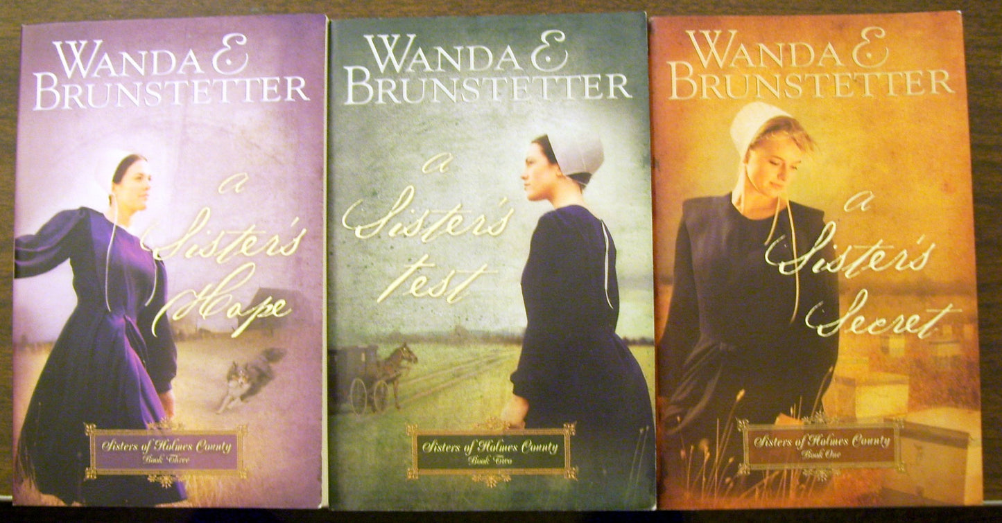 Sisters of Holmes County The Happy Book Stack