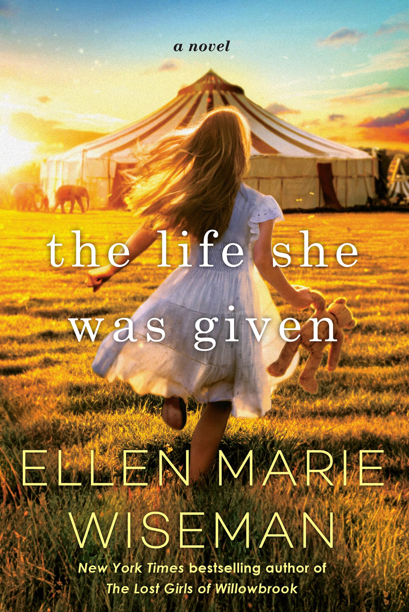 The Life She Was Given: A Moving and Emotional Saga of Family and Resilient Women - 9665