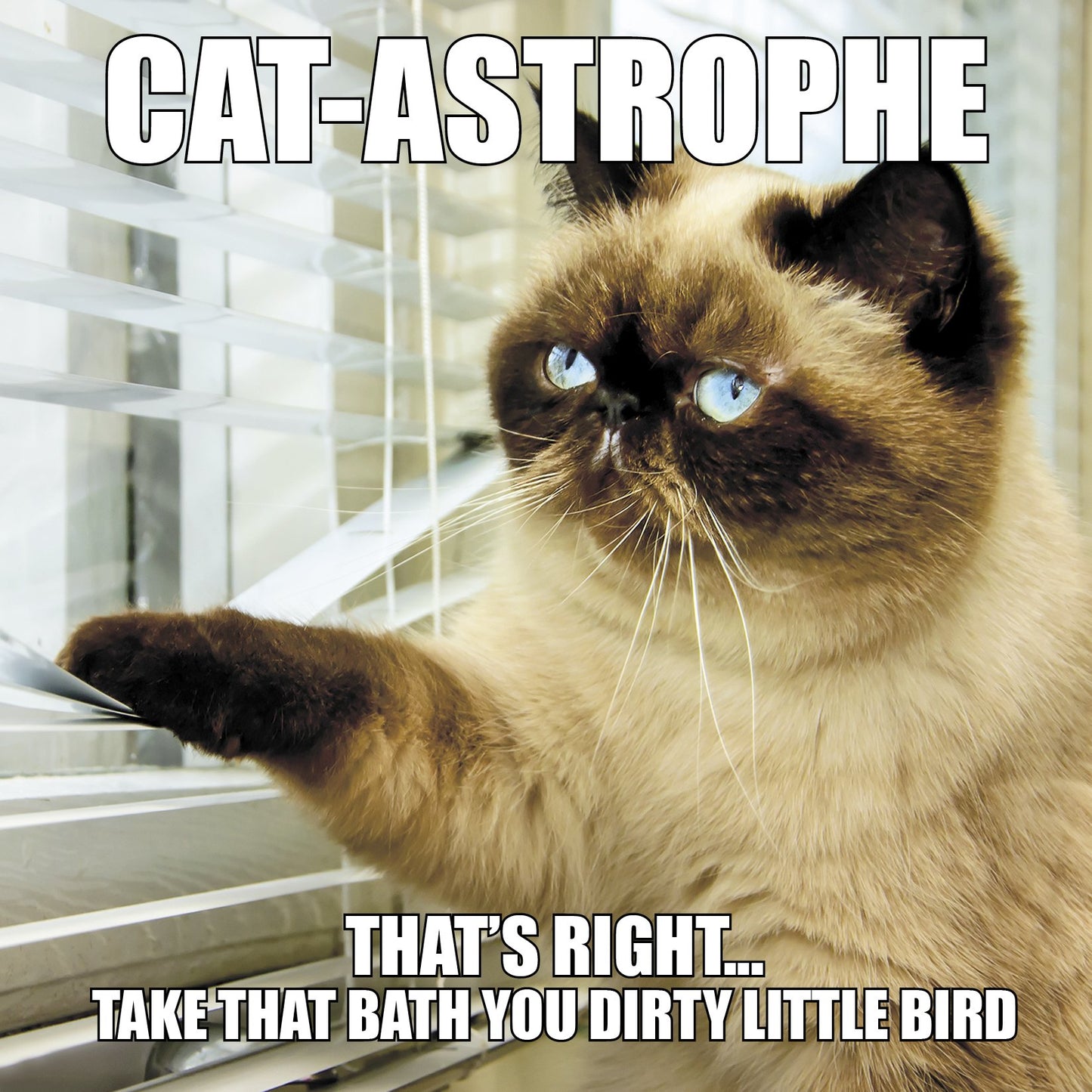 Cat-astrophe The Happy Book Stack