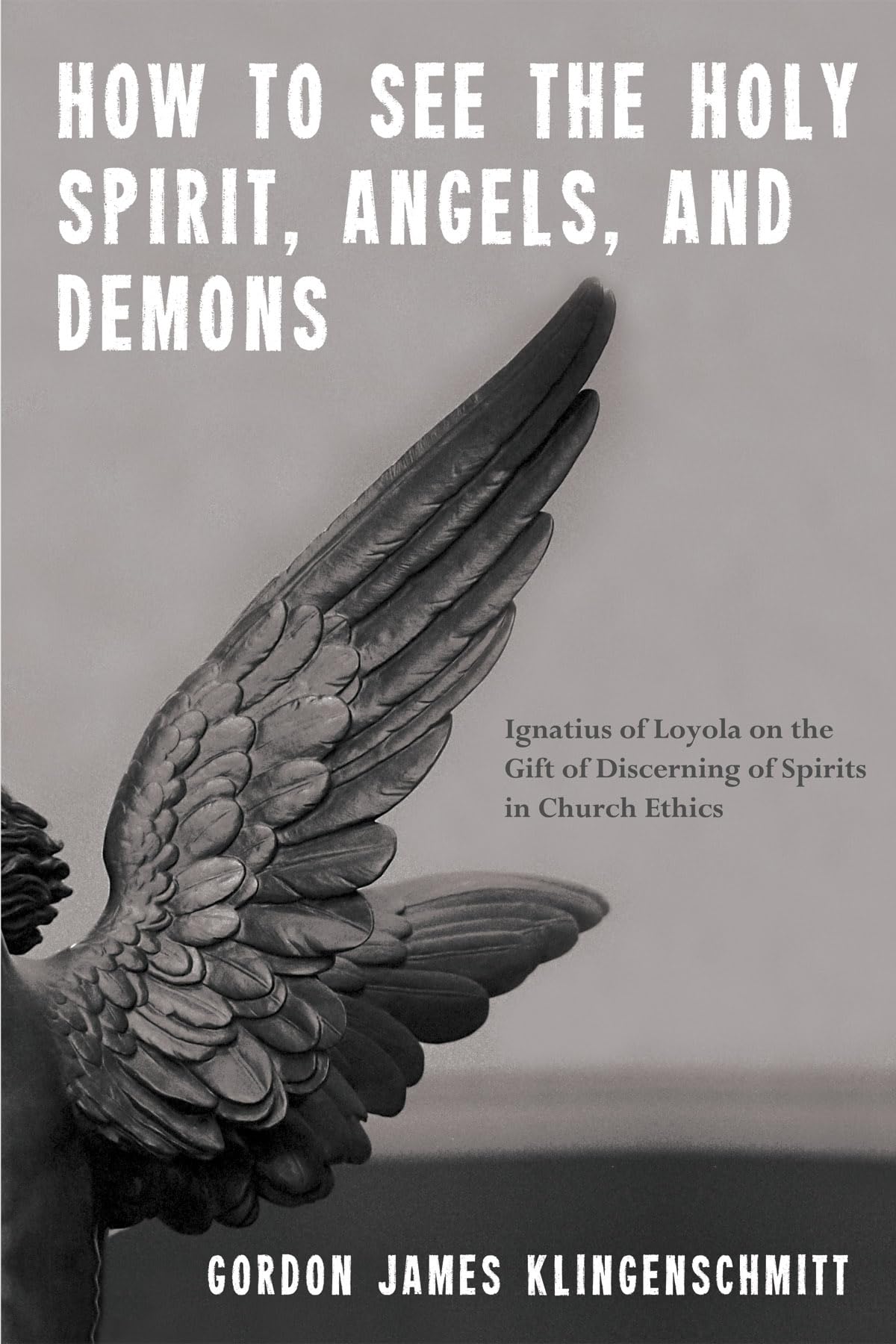 How to See the Holy Spirit, Angels, and Demons: Ignatius of Loyola on the Gift of Discerning of Spirits in Church Ethics - 8498