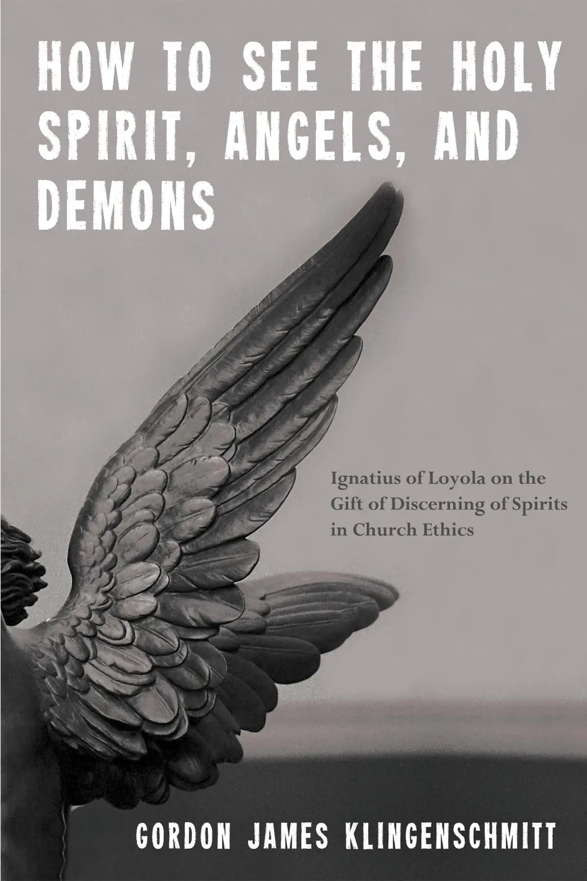 How to See the Holy Spirit, Angels, and Demons: Ignatius of Loyola on the Gift of Discerning of Spirits in Church Ethics The Happy Book Stack