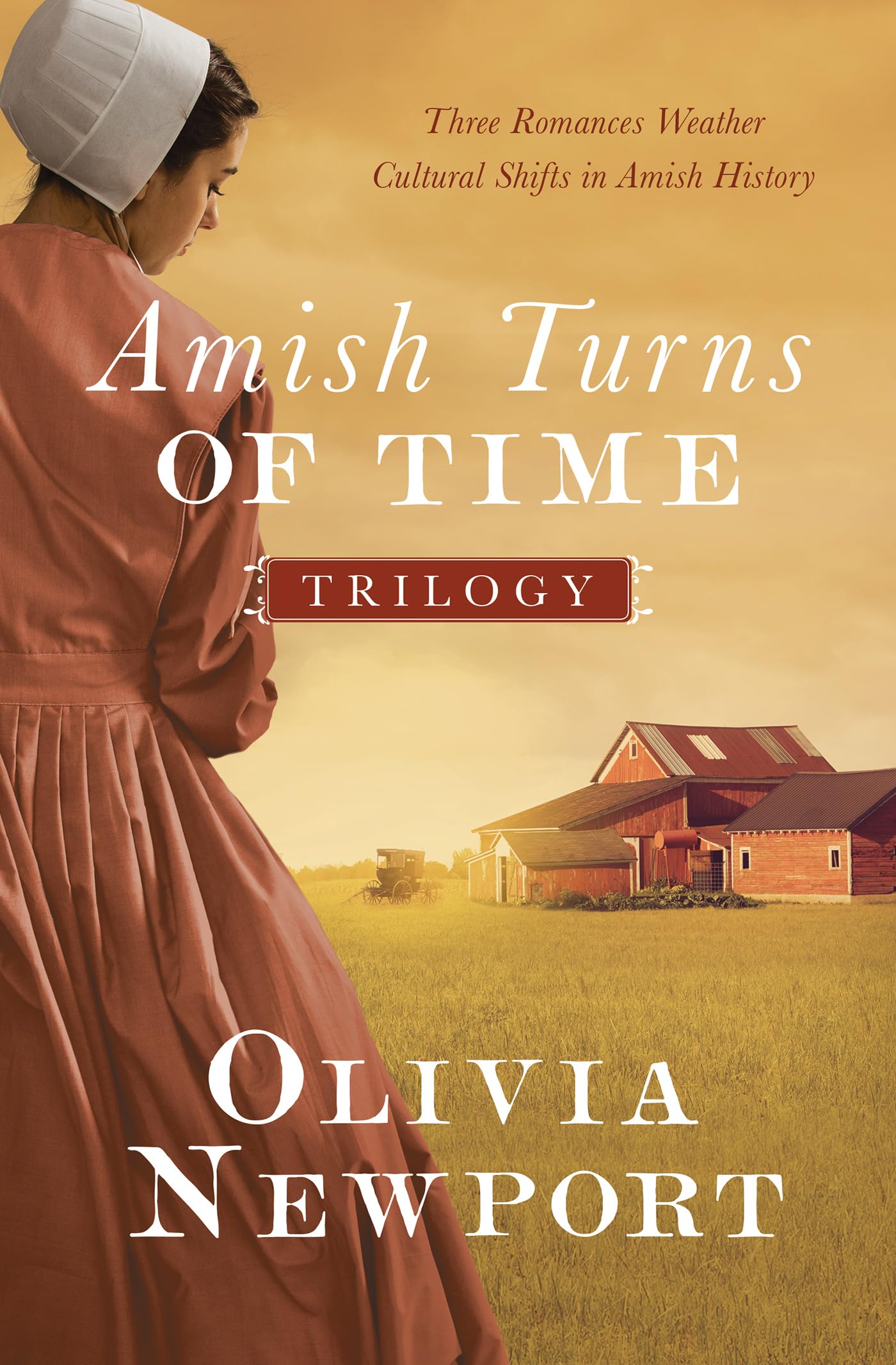 The Amish Turns of Time Trilogy: Three Romances Weather Cultural Shifts in Amish History The Happy Book Stack