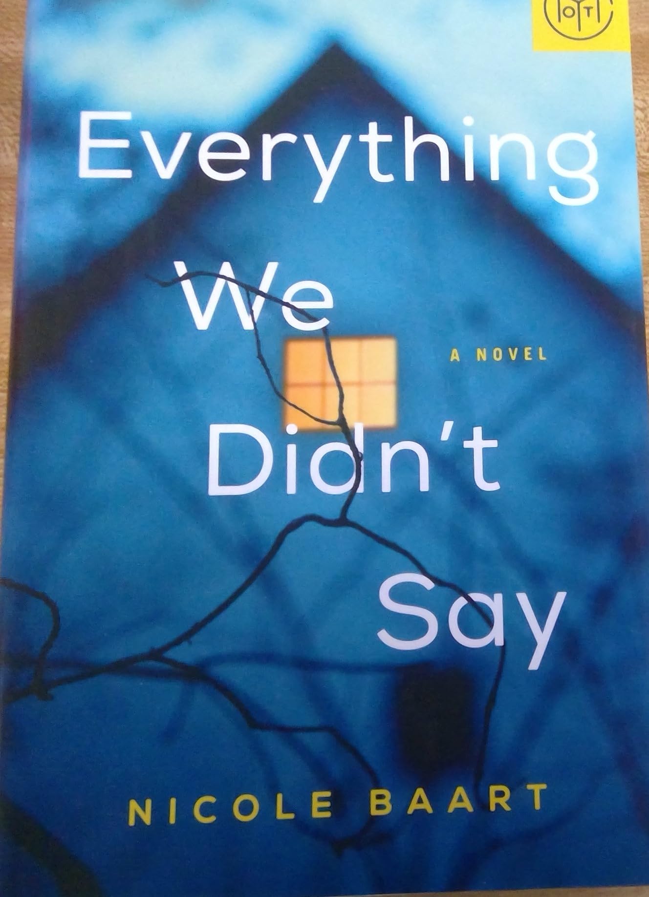 Everything We Didn't Say by Nicole Baart - Book of The Month The Happy Book Stack