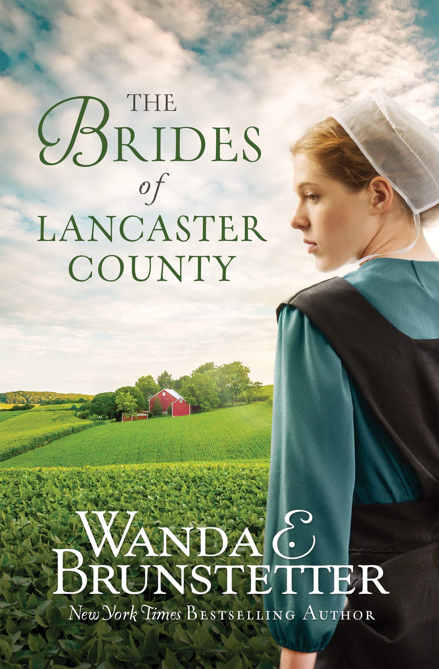 The Brides of Lancaster County The Happy Book Stack