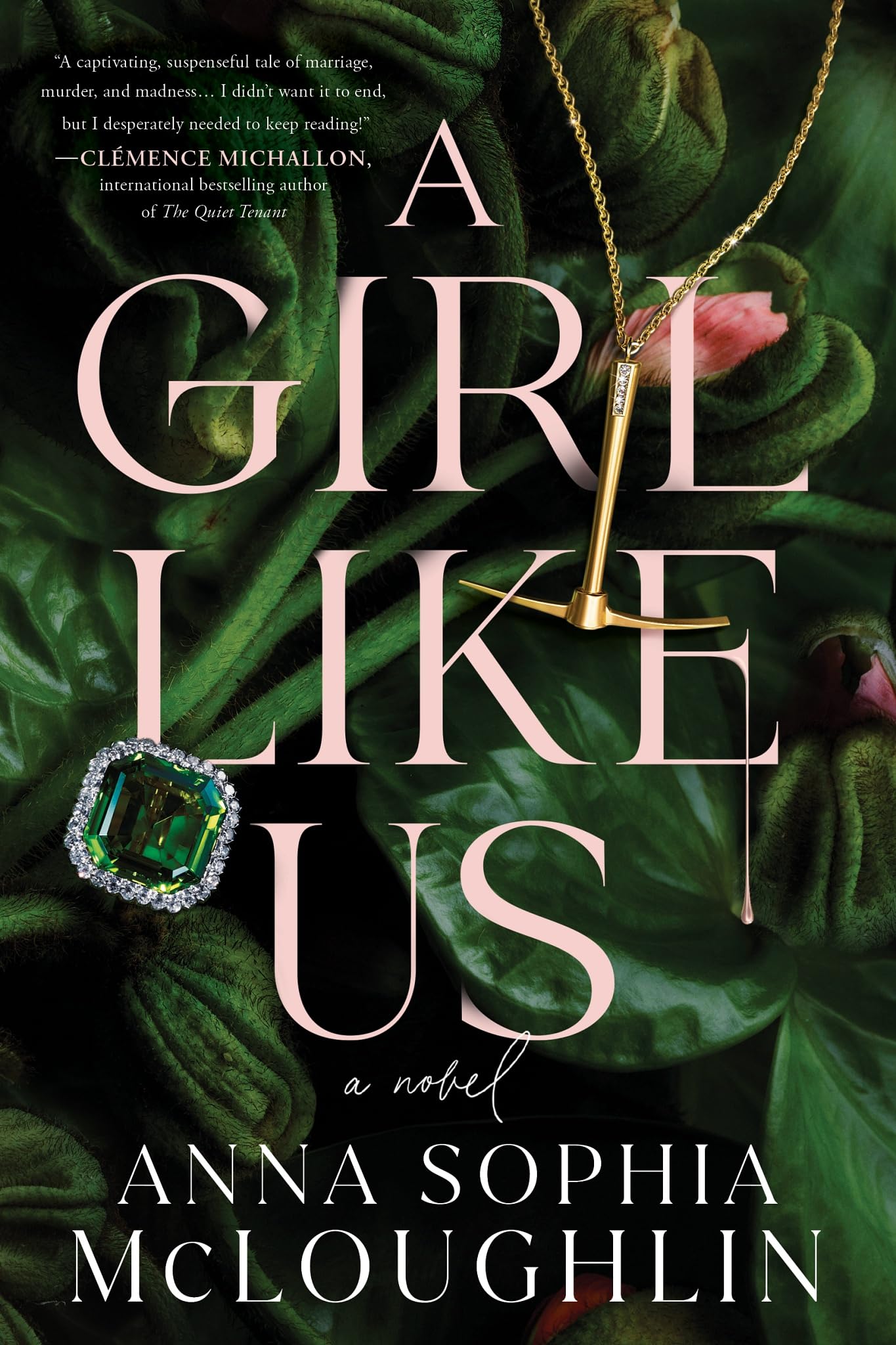 A Girl Like Us: A Novel The Happy Book Stack