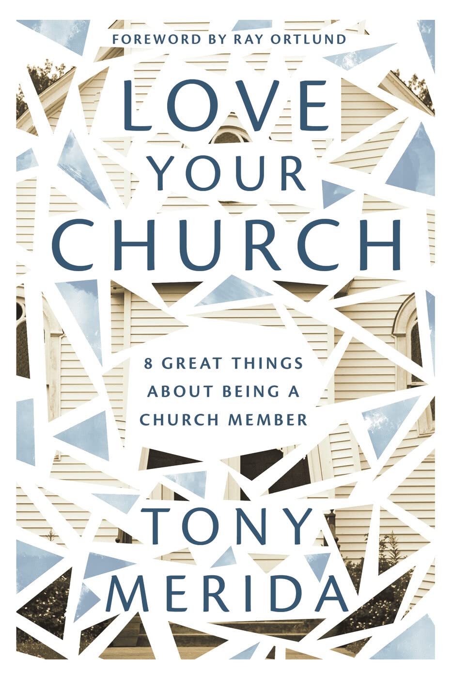 Love Your Church: 8 Great Things About Being a Church Member (Discipleship resource for Christians on belonging, welcoming, gathering, caring, serving, witnessing, and mission) The Happy Book Stack