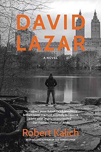 DAVID LAZAR: A Novel The Happy Book Stack
