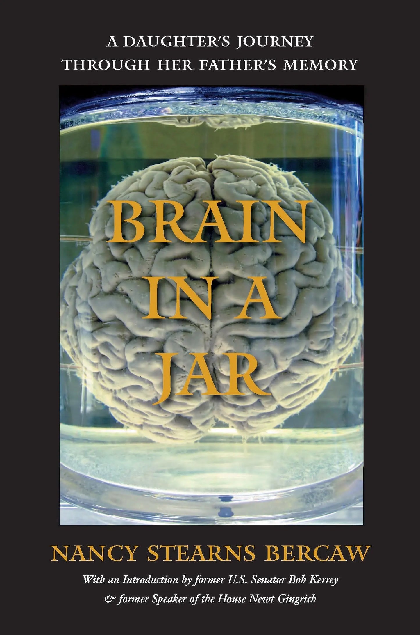 Brain in a Jar: A Daughter's Journey through Her Father's Memory The Happy Book Stack