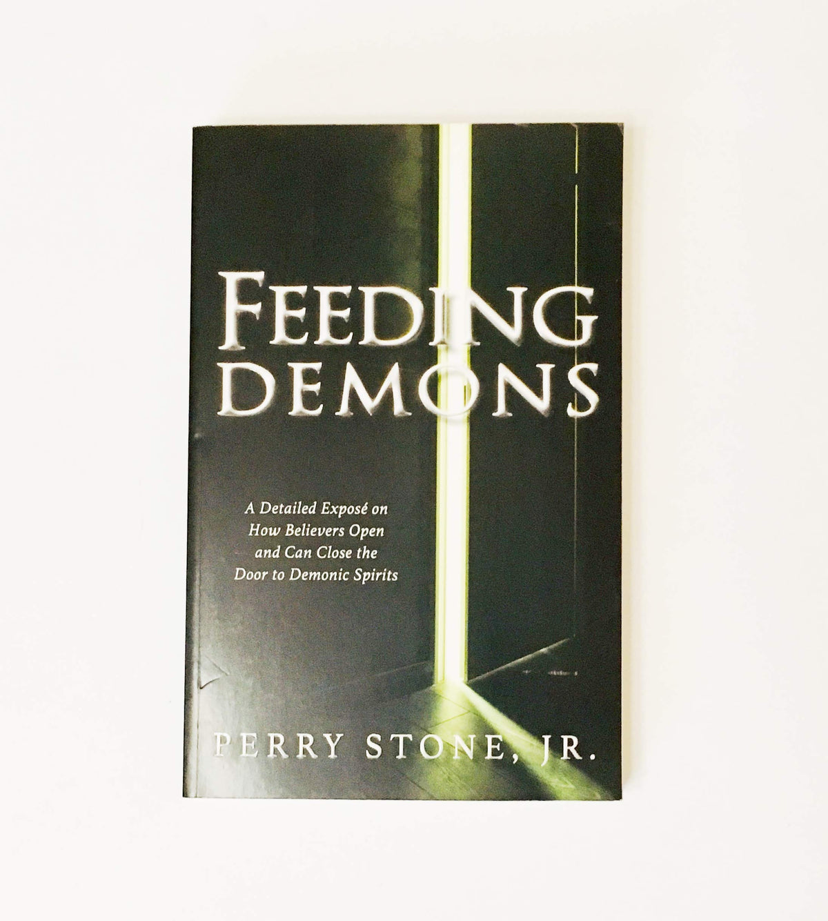 Feeding Demons The Happy Book Stack