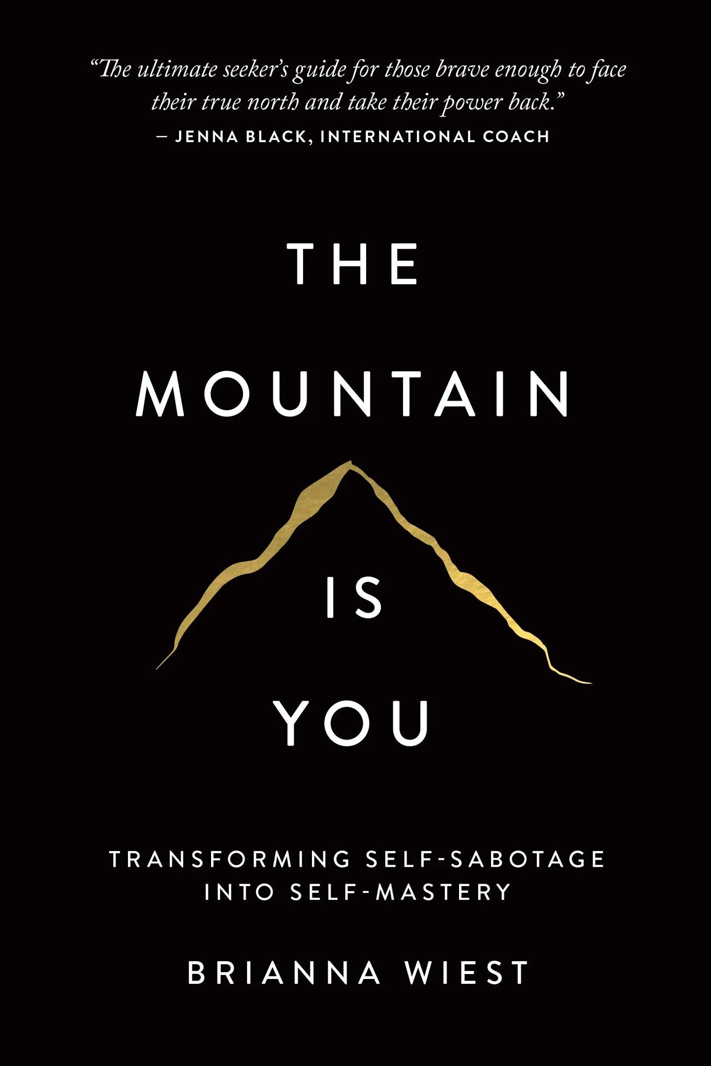 The Mountain Is You: Transforming Self-Sabotage Into Self-Mastery The Happy Book Stack
