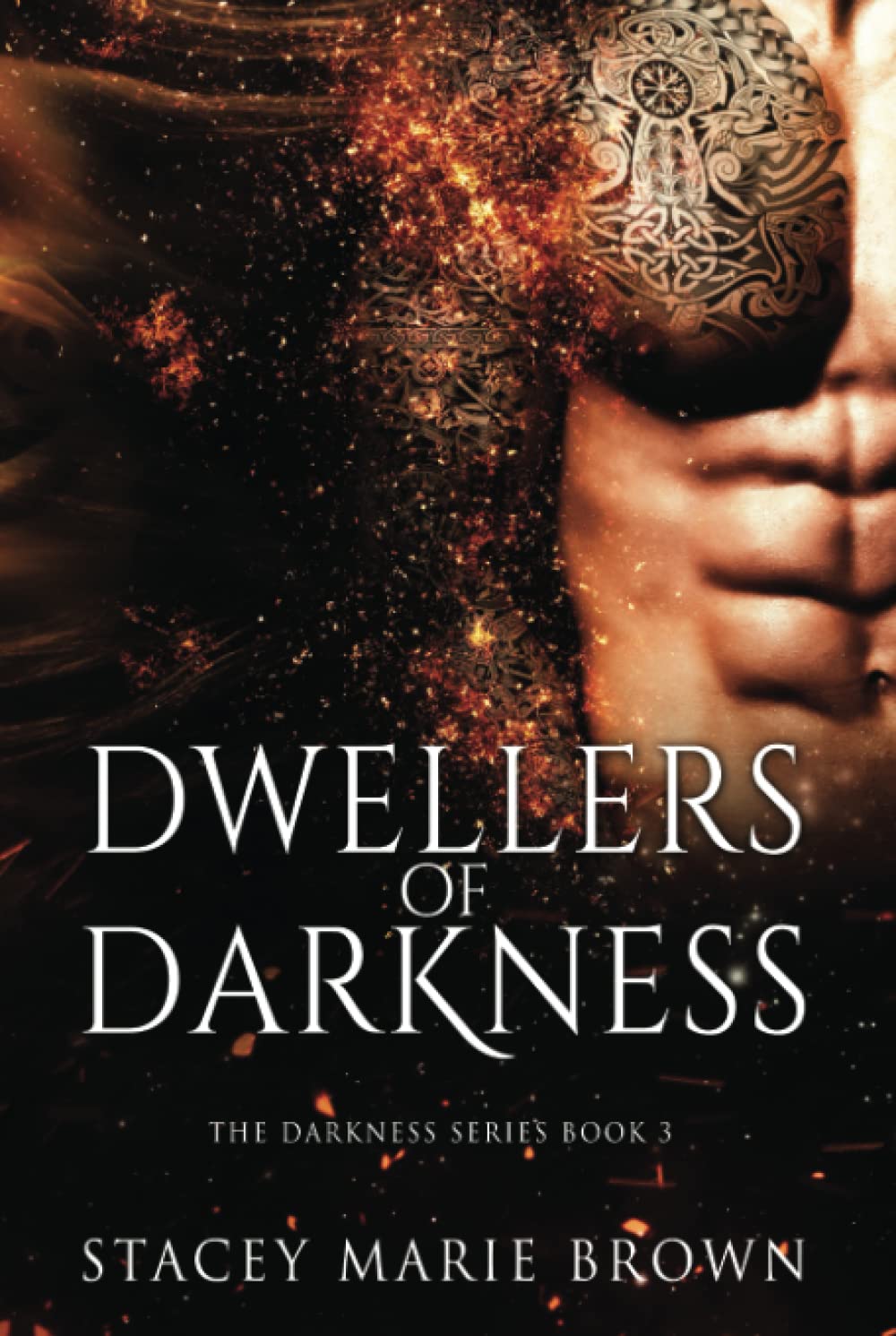 Dwellers of Darkness (Darkness Series) The Happy Book Stack