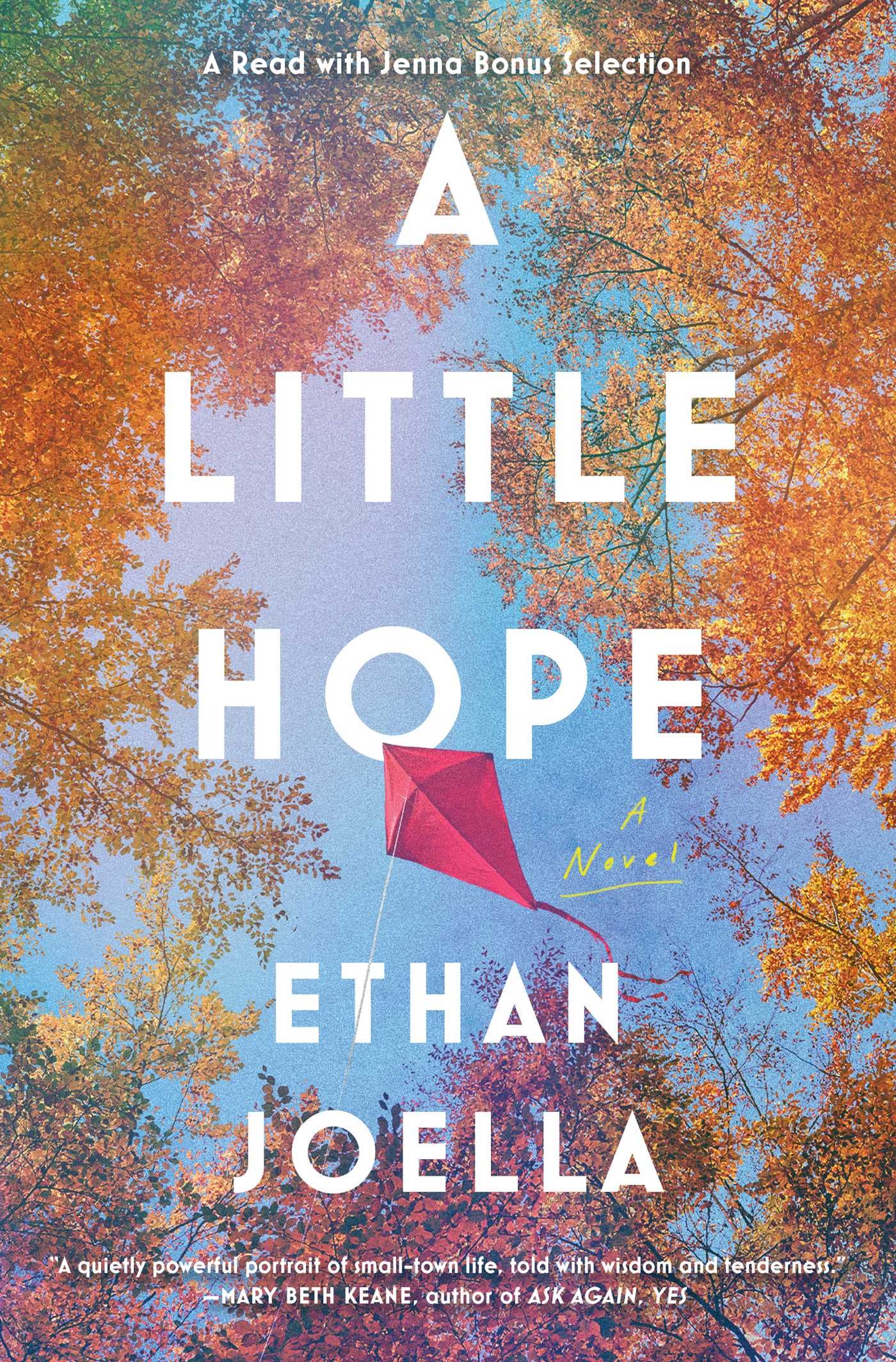 A Little Hope: A Novel The Happy Book Stack