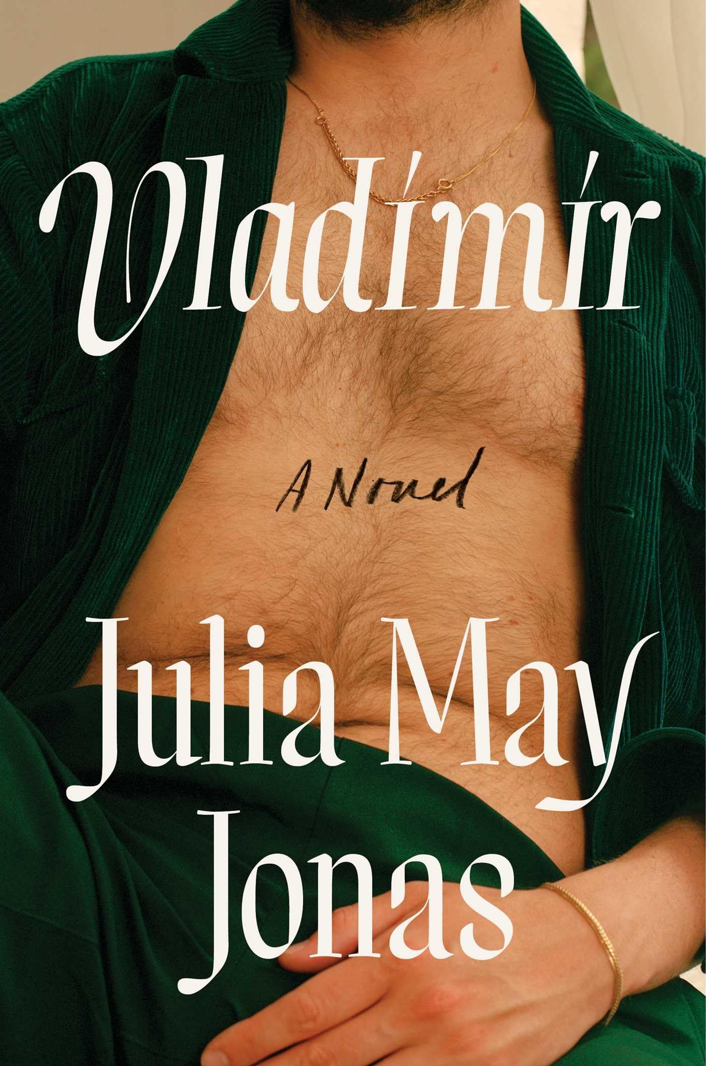 Vladimir: A Novel The Happy Book Stack
