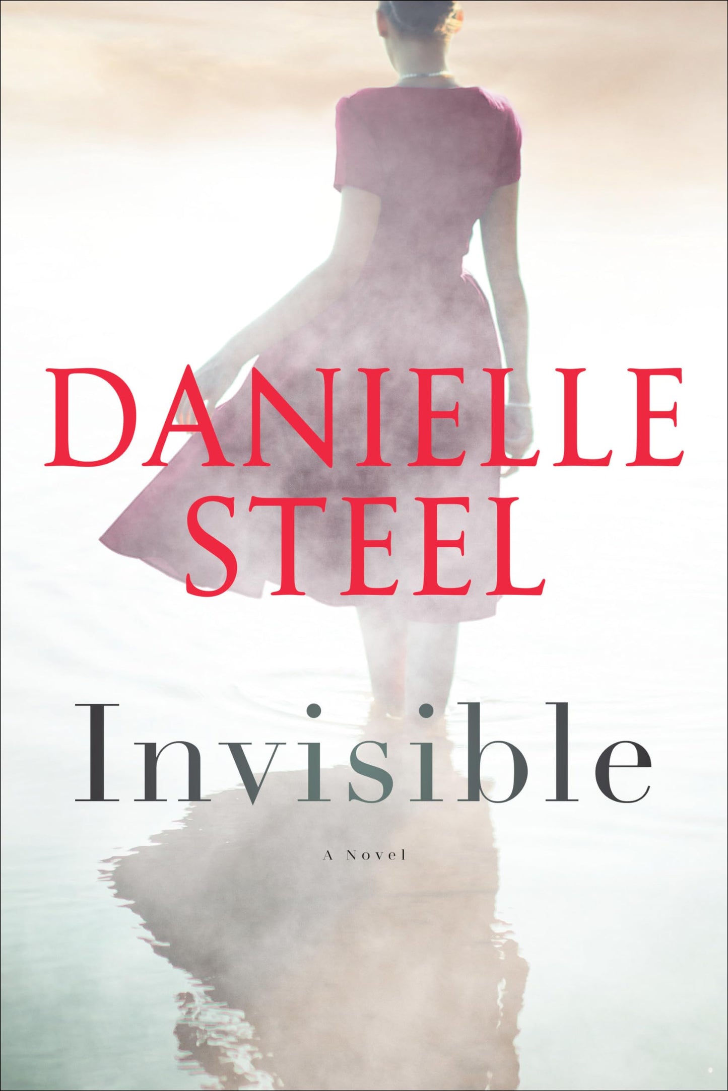 Invisible: A Novel The Happy Book Stack