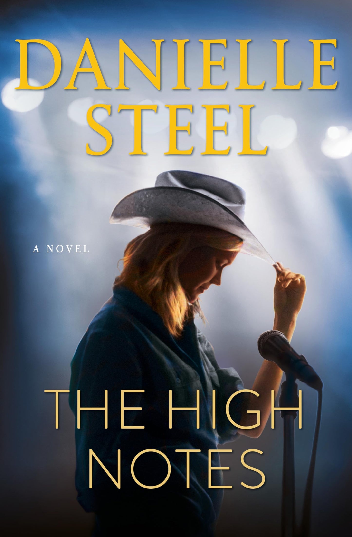 The High Notes: A Novel The Happy Book Stack