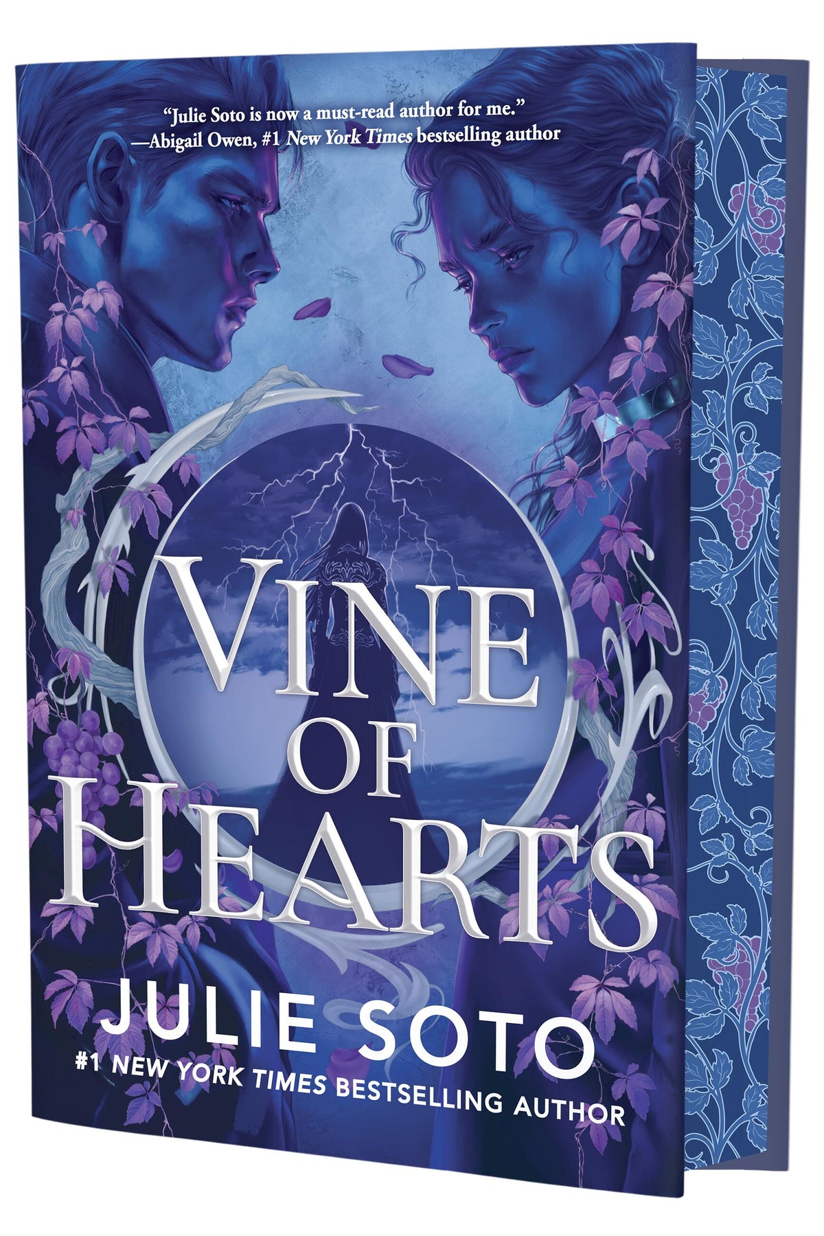 Vine of Hearts (Deluxe Limited Edition) by Julie Soto cover
