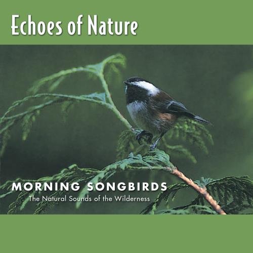Echoes of Nature: Morning Songbirds The Happy Book Stack
