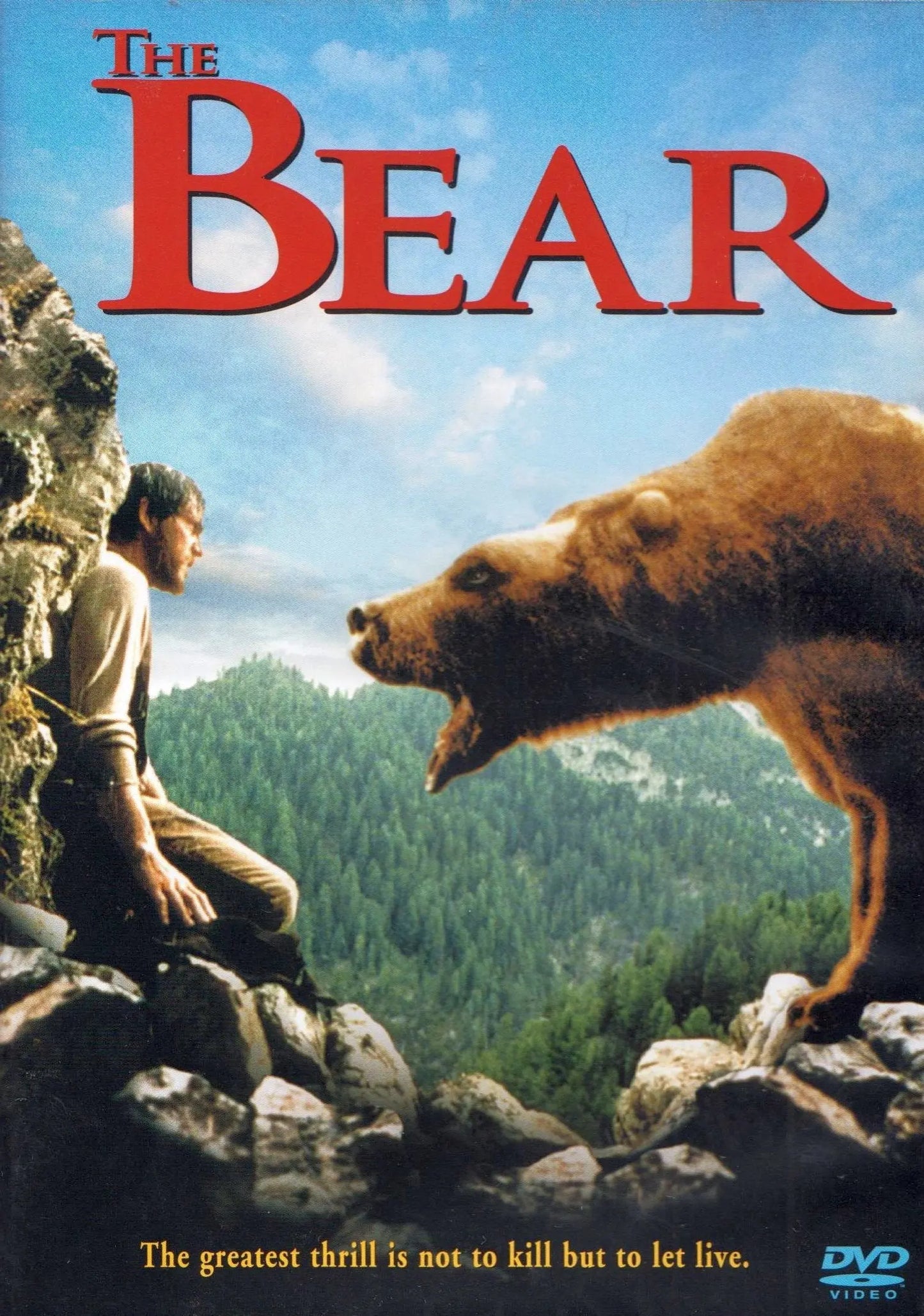 The Bear The Happy Book Stack