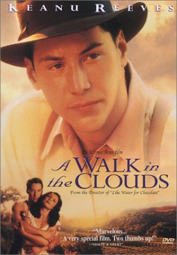 A Walk in the Clouds The Happy Book Stack