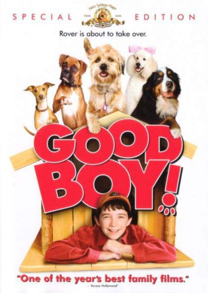 Good Boy! The Happy Book Stack