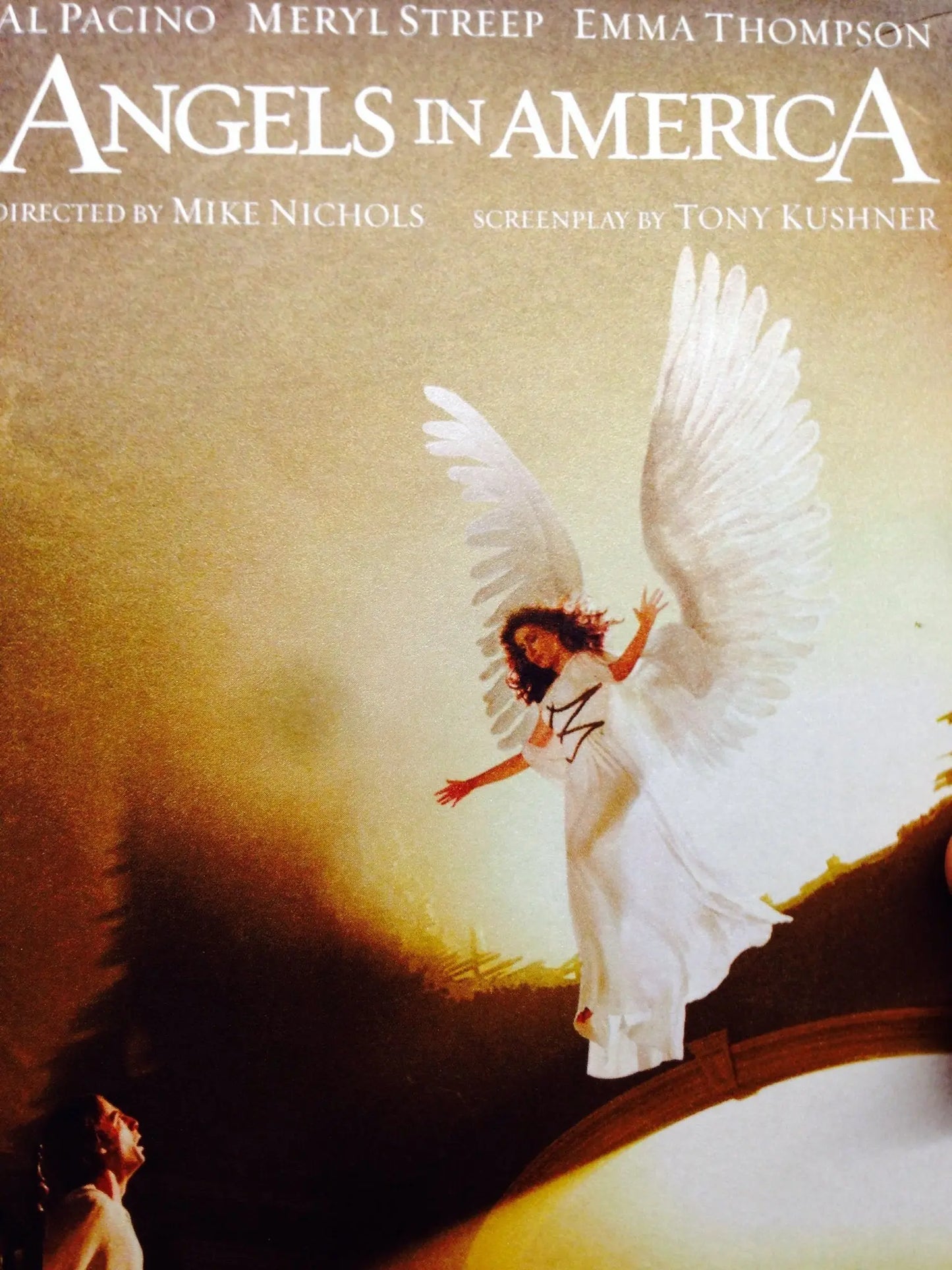 Angels in America (DVD) The Happy Book Stack