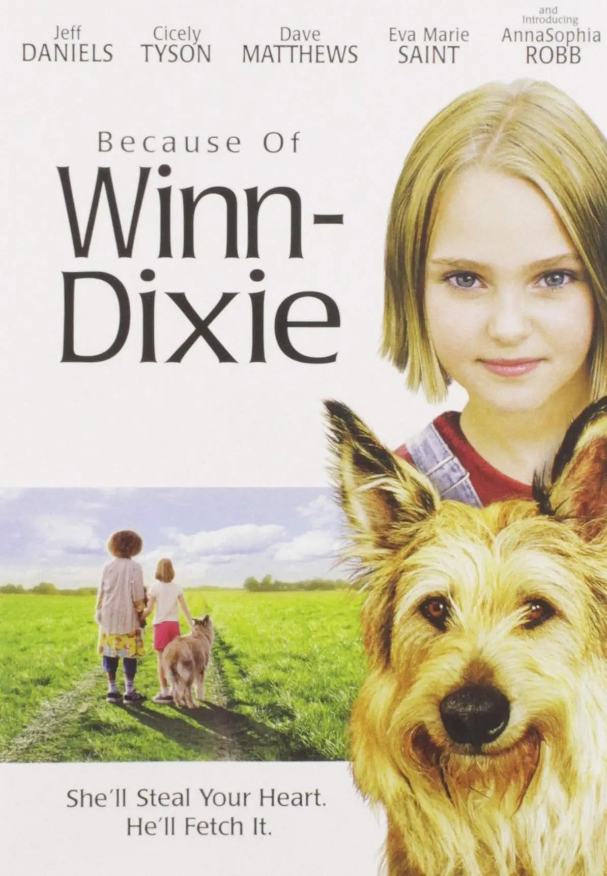 Because of Winn-Dixie The Happy Book Stack