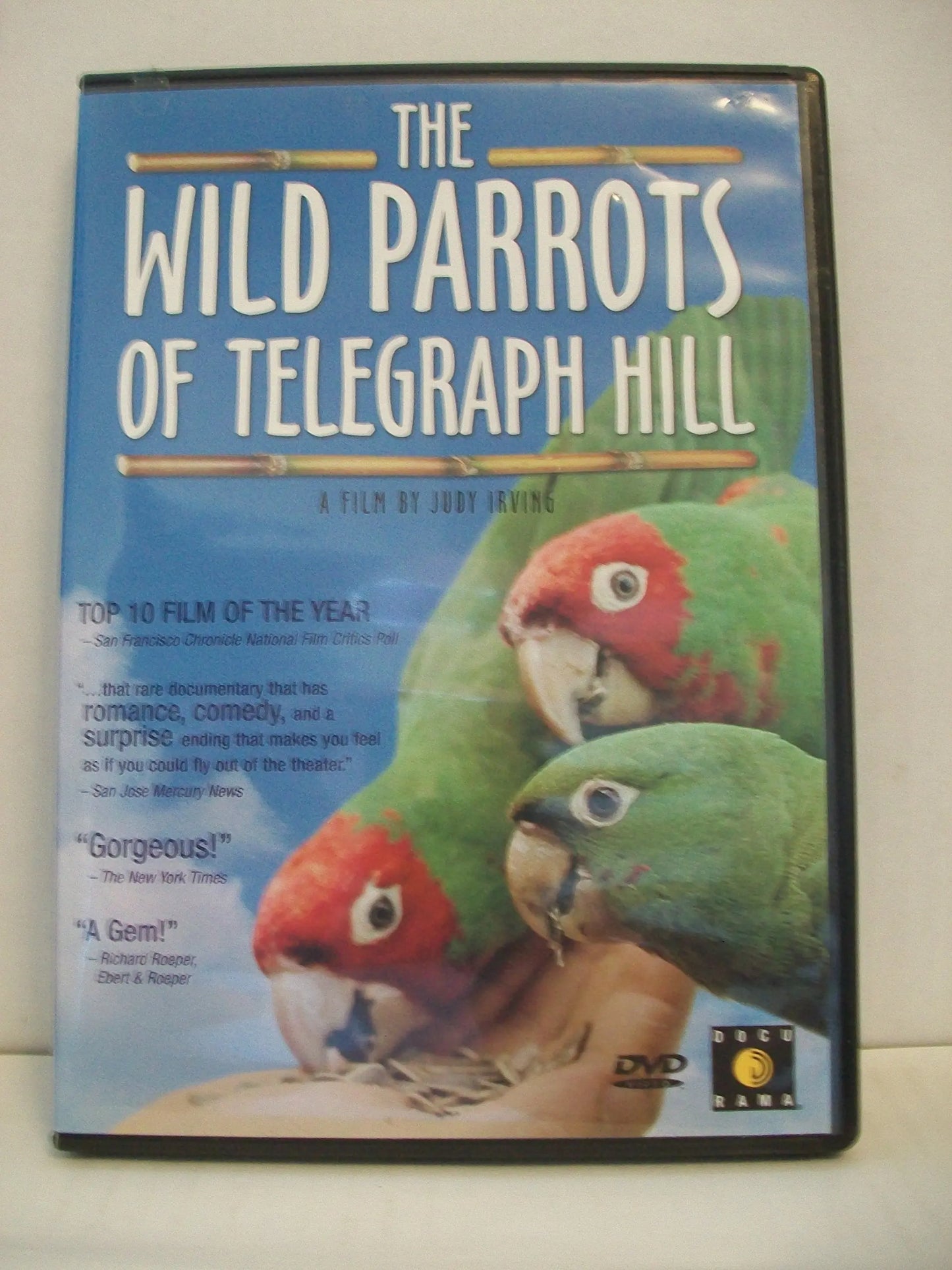 The Wild Parrots of Telegraph Hill The Happy Book Stack