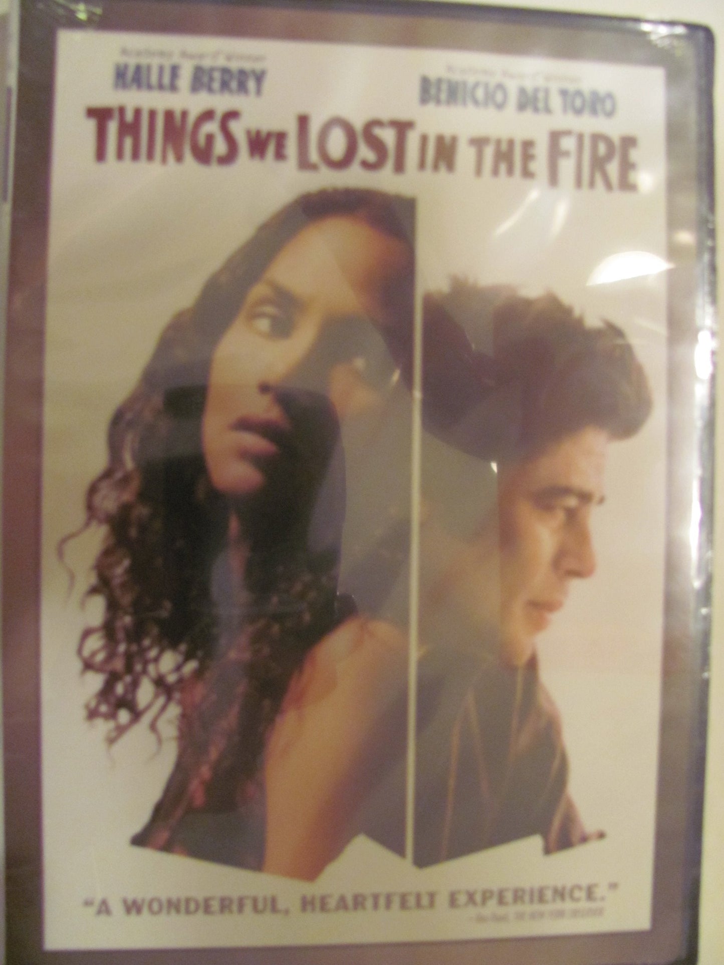 Things We Lost in the Fire The Happy Book Stack
