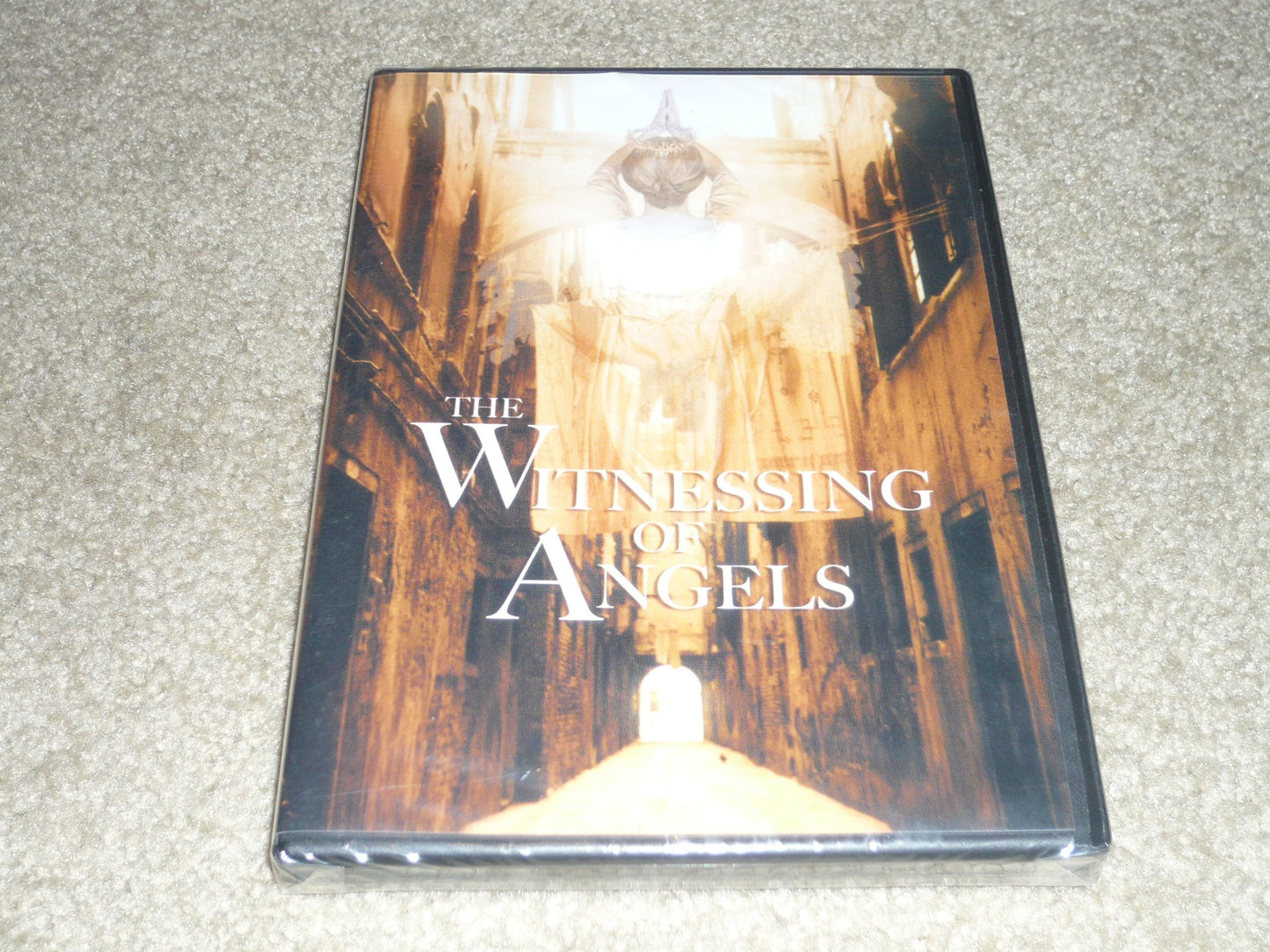 The Witnessing of Angels The Happy Book Stack