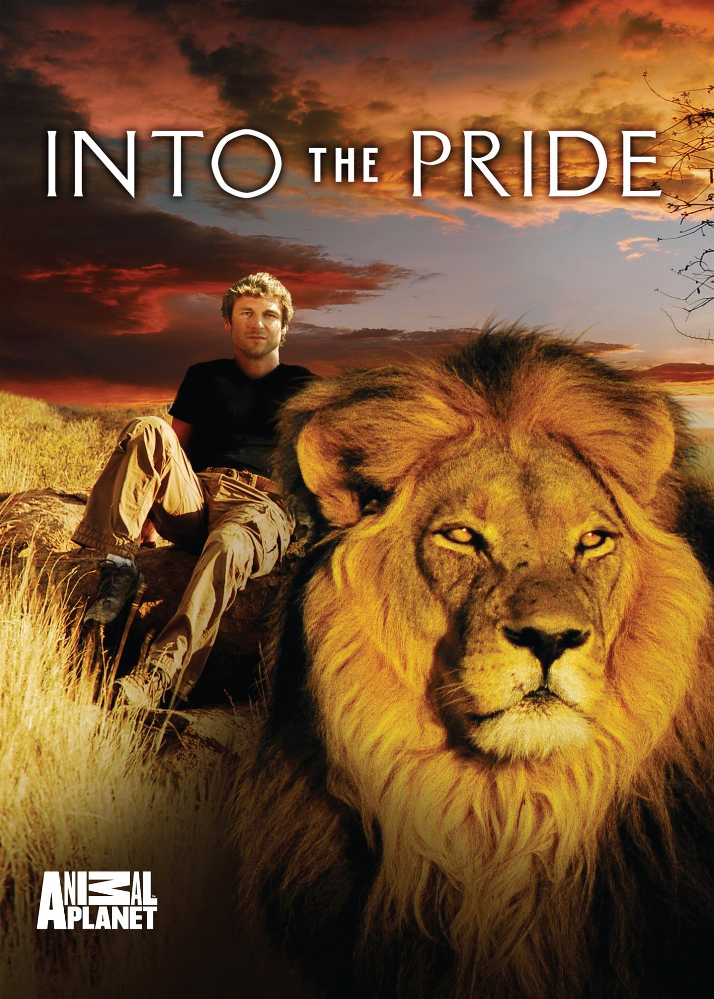 Into the Pride - 9391