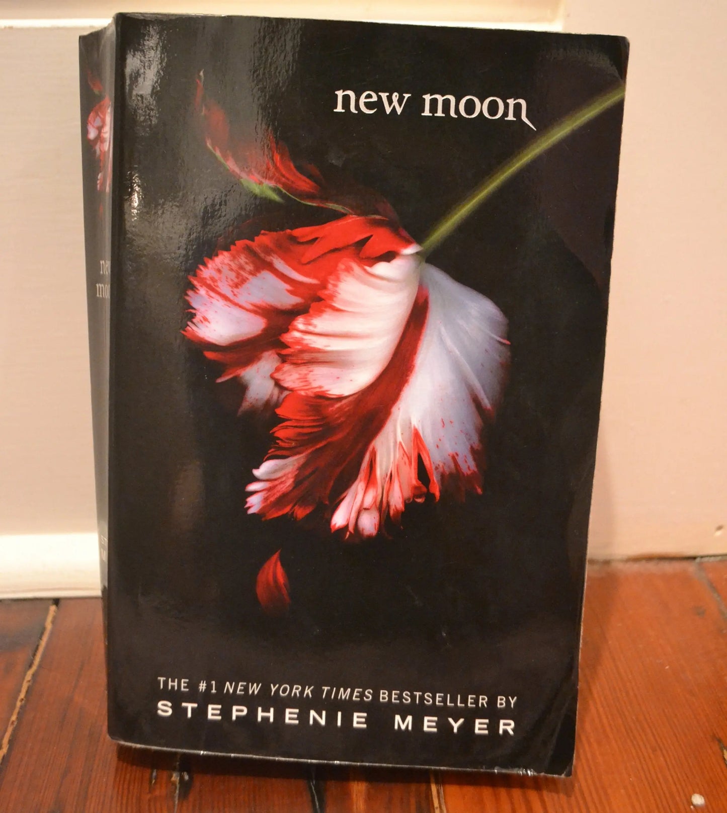 New Moon The Happy Book Stack
