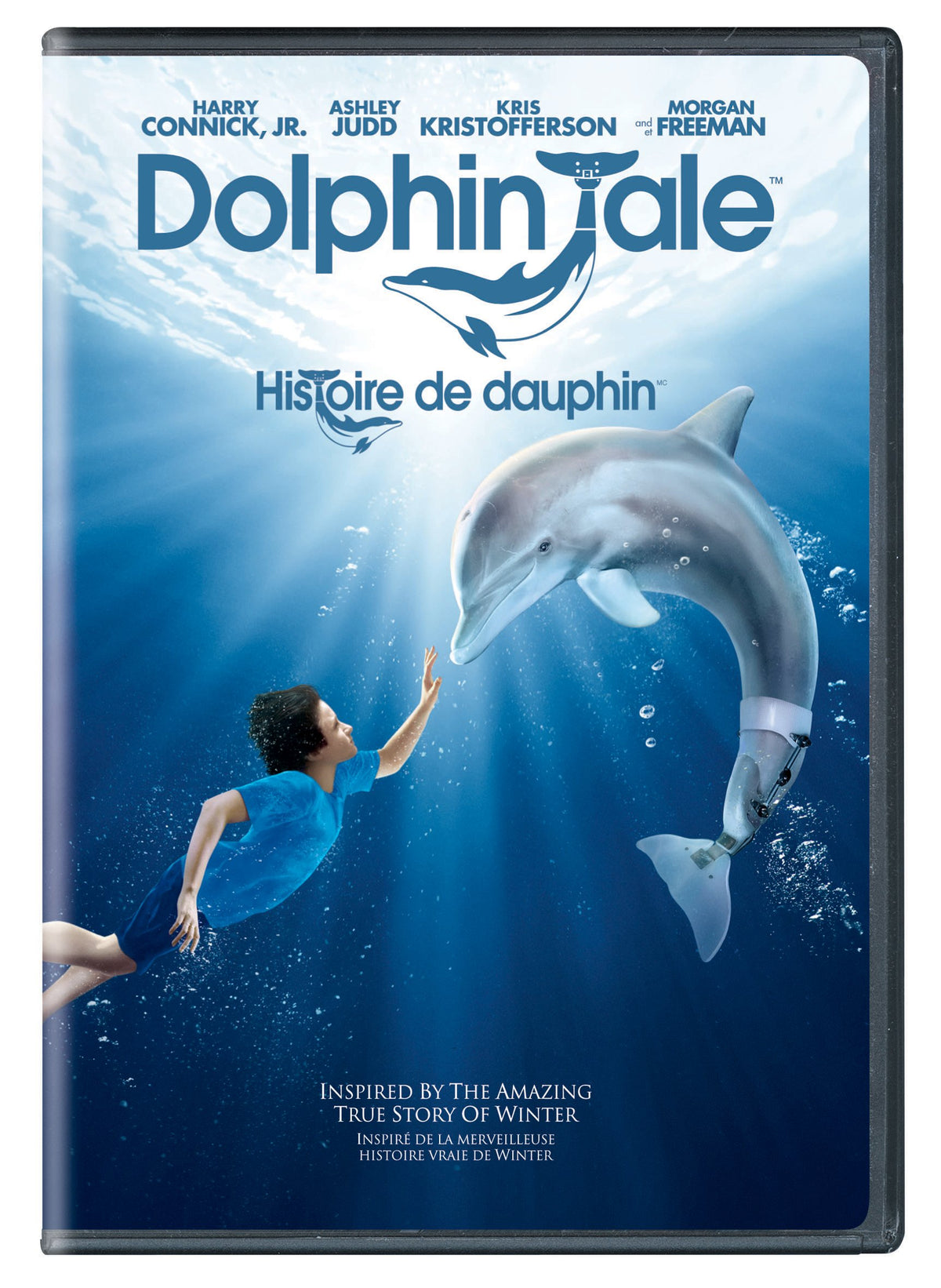 Dolphin Tale The Happy Book Stack