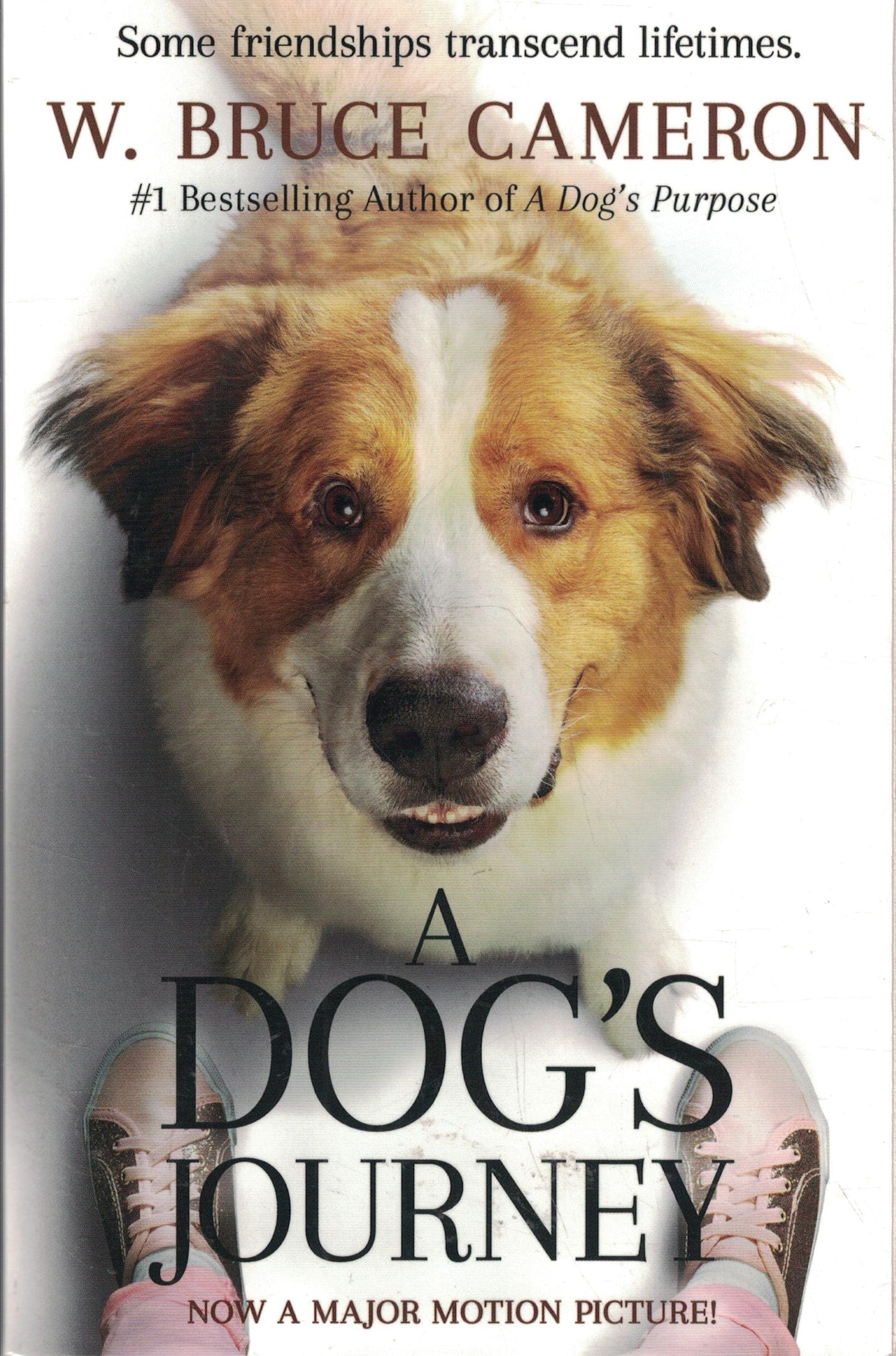 A Dog's Journey The Happy Book Stack