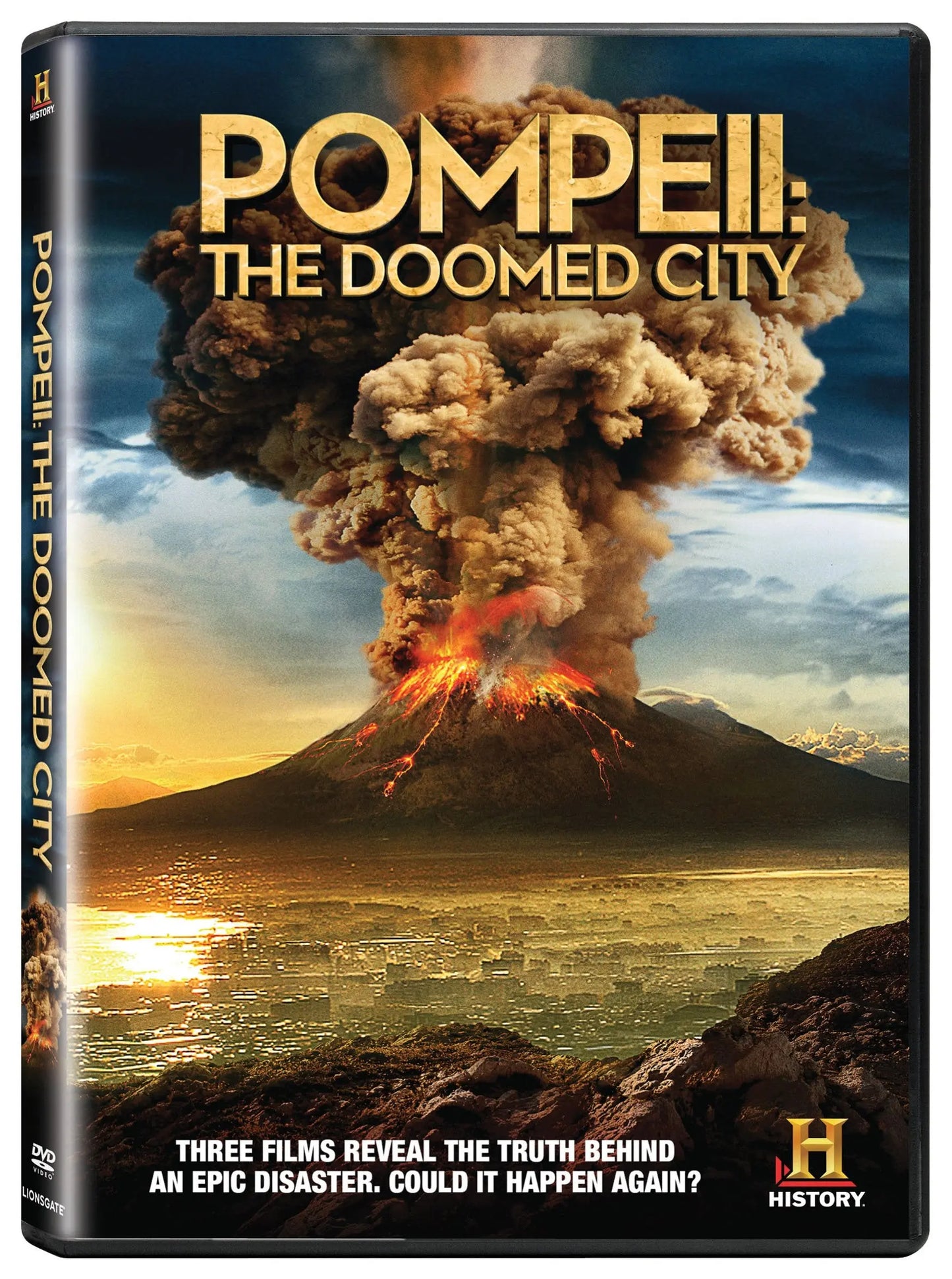 Pompeii: The Doomed City The Happy Book Stack