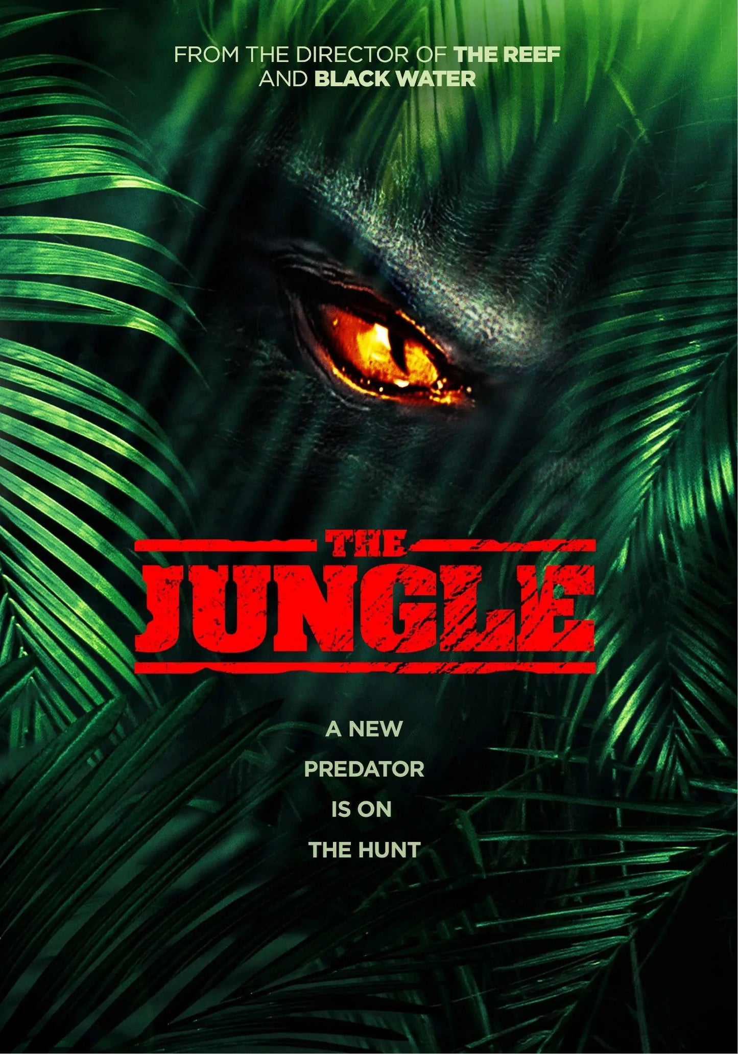 The Jungle The Happy Book Stack