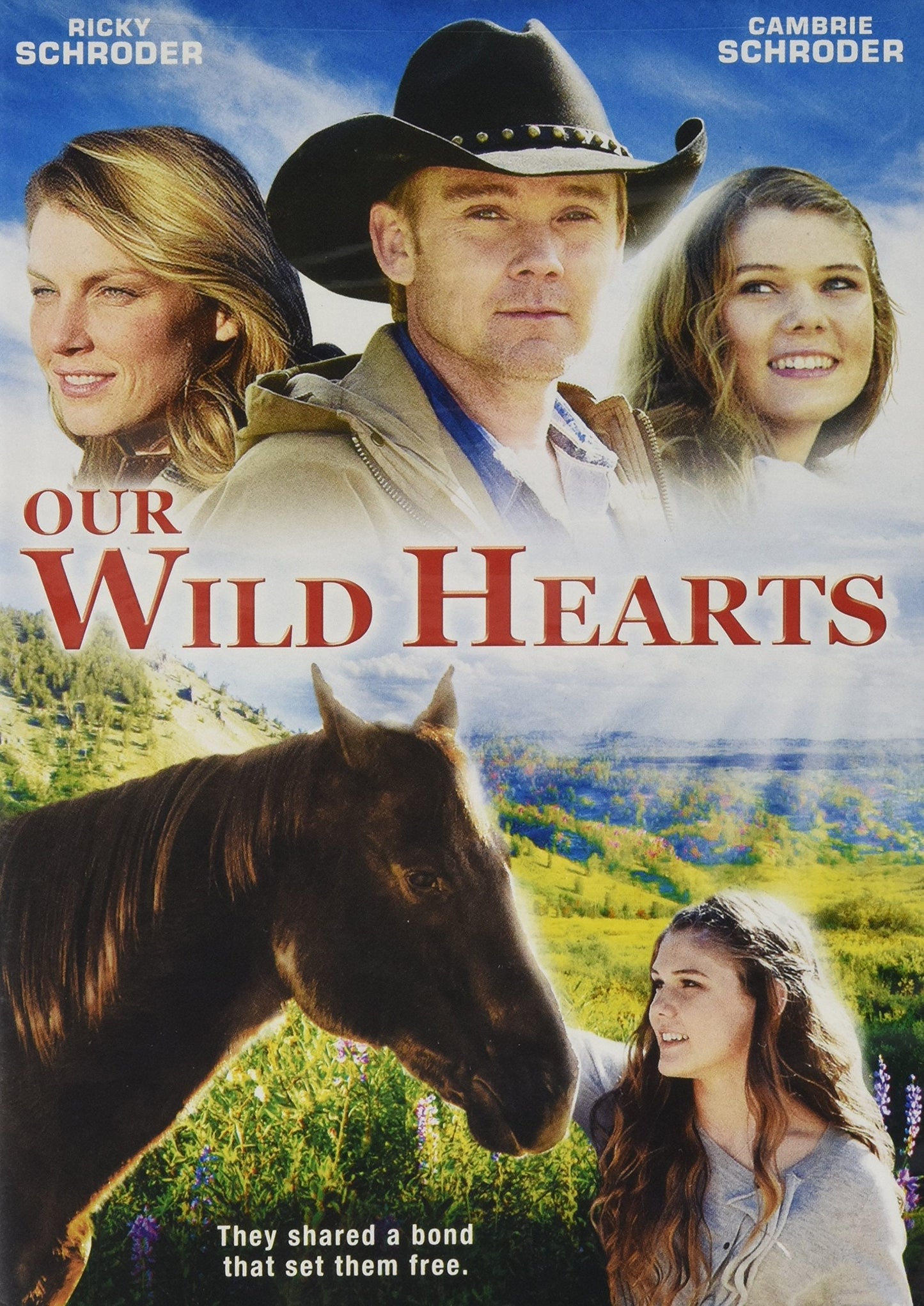 Our Wild Hearts (DVD + VUDU Digital Copy) The Happy Book Stack