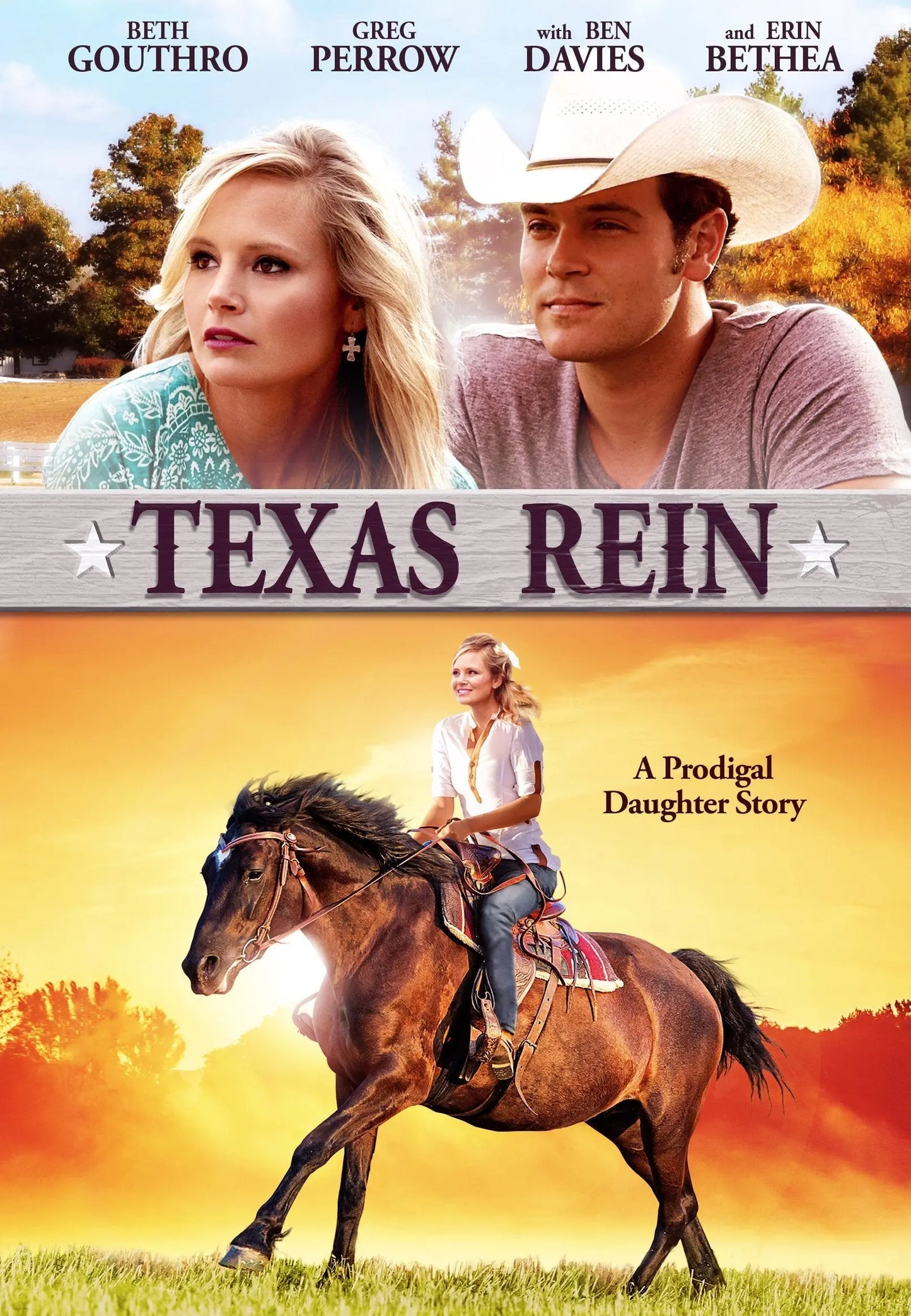 Texas Rein The Happy Book Stack