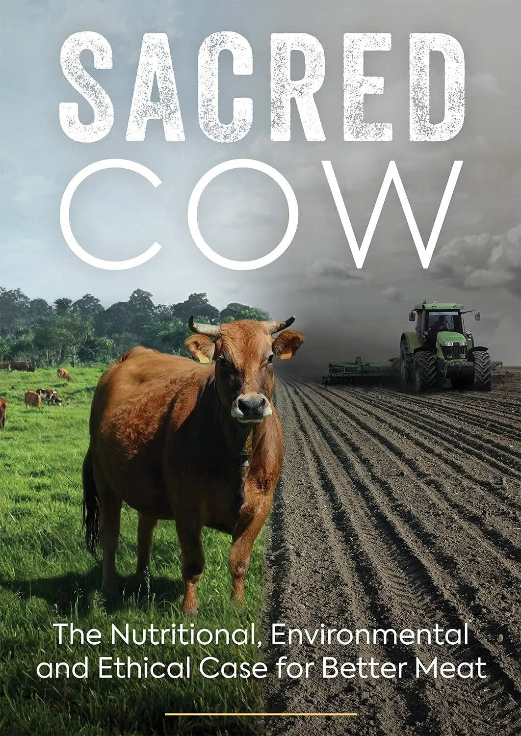 Sacred Cow The Happy Book Stack