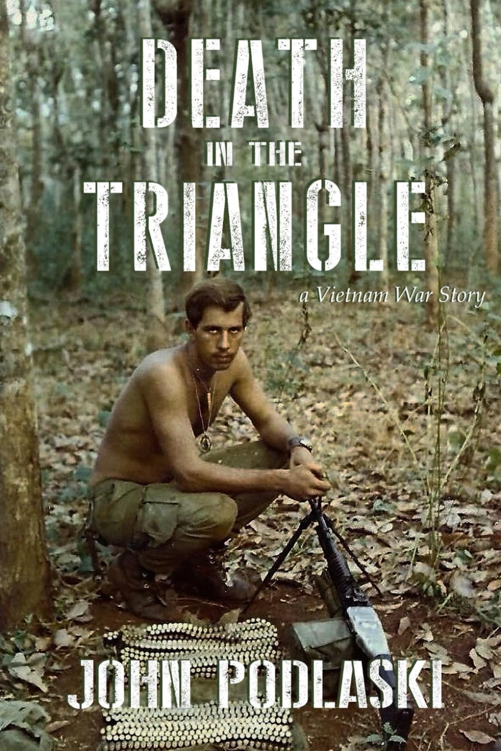 Death in the Triangle: A Vietnam War Story The Happy Book Stack