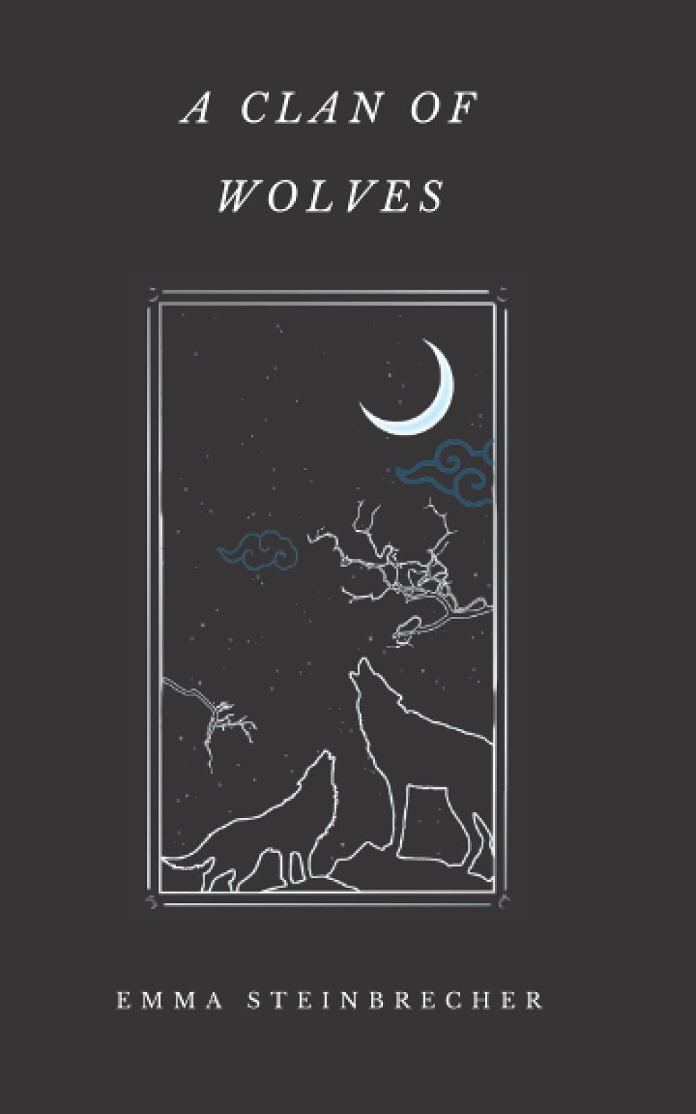A Clan of Wolves The Happy Book Stack