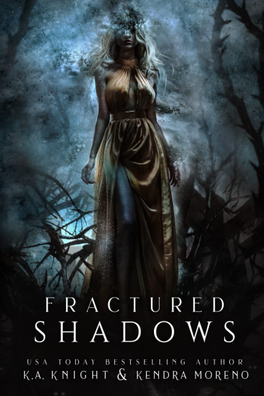 Fractured Shadows (Shadowed Kingdom) The Happy Book Stack