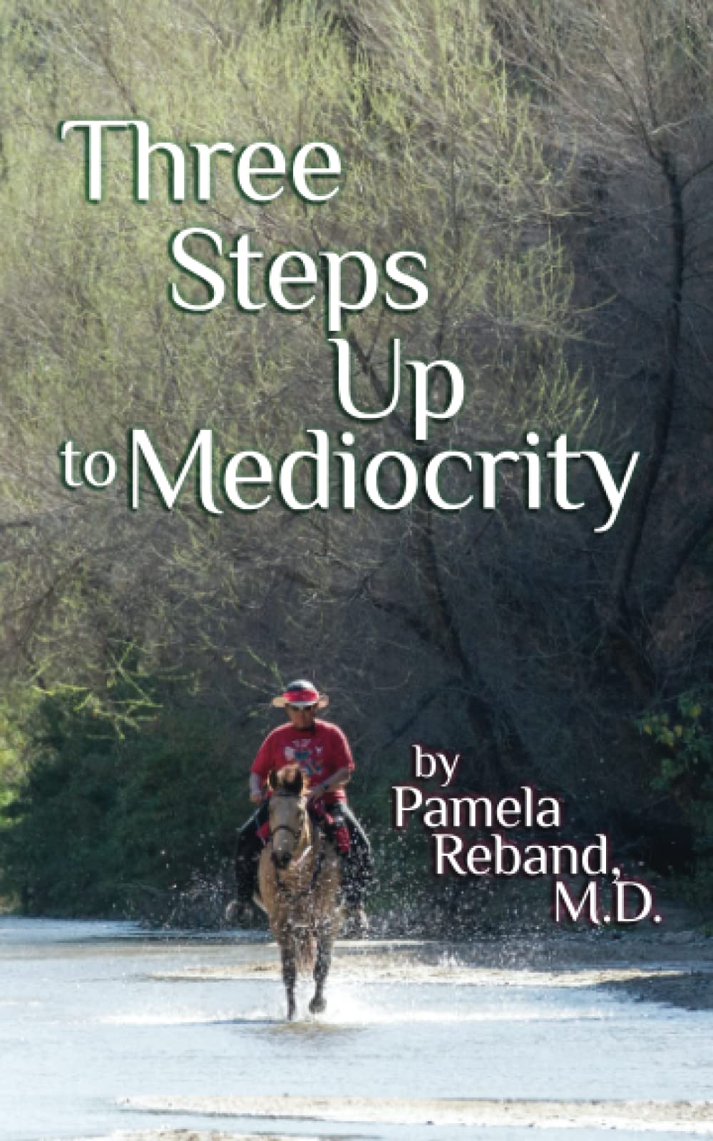Three Steps Up to Mediocrity: A woman afraid, a tough little horse and the man who brought them together The Happy Book Stack