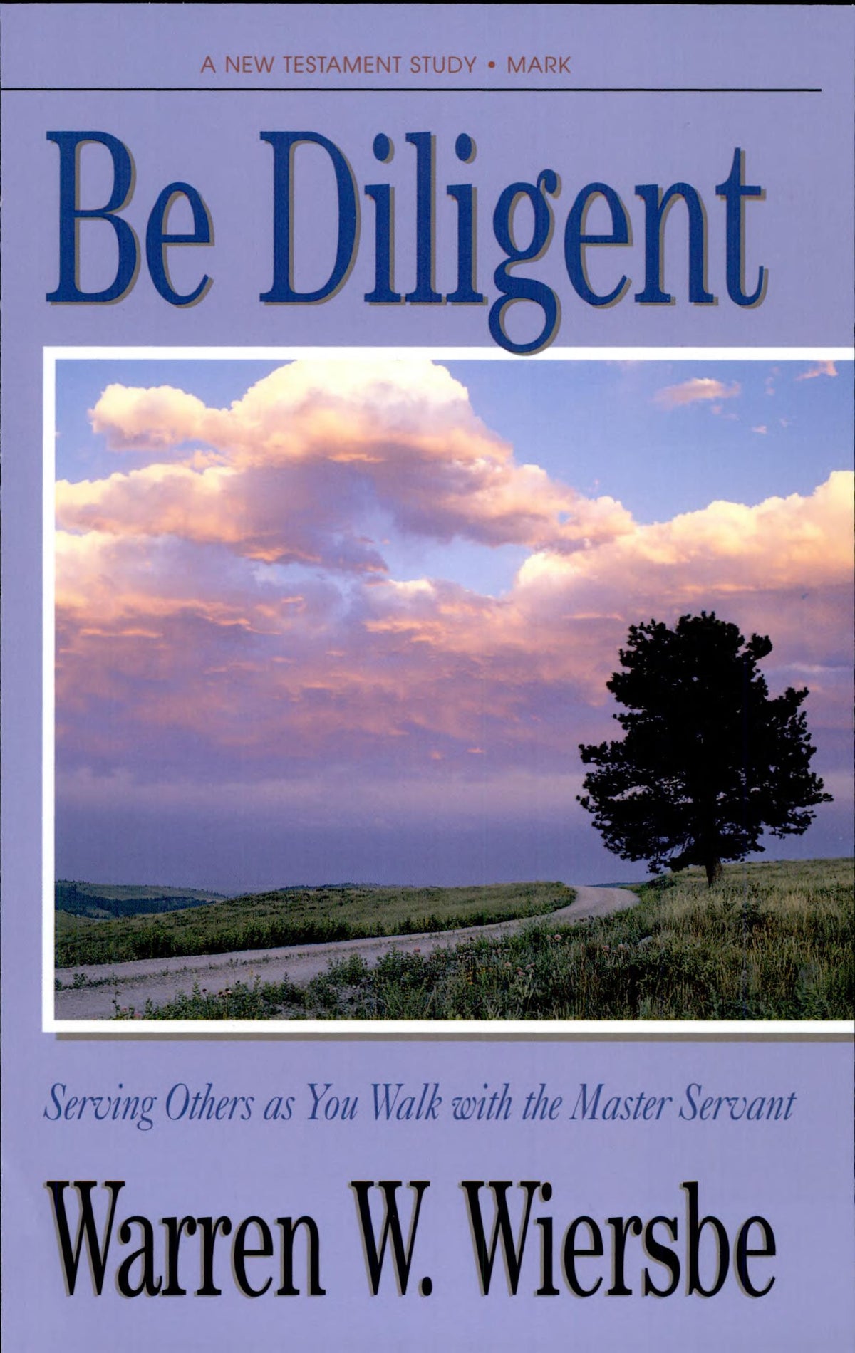 Be Diligent (Be Series) cover
