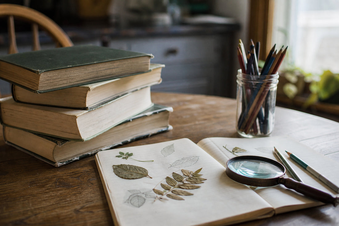 Used books, a field notebook, pressed leaves, and a magnifier on a kitchen table for nature study books for homeschool.