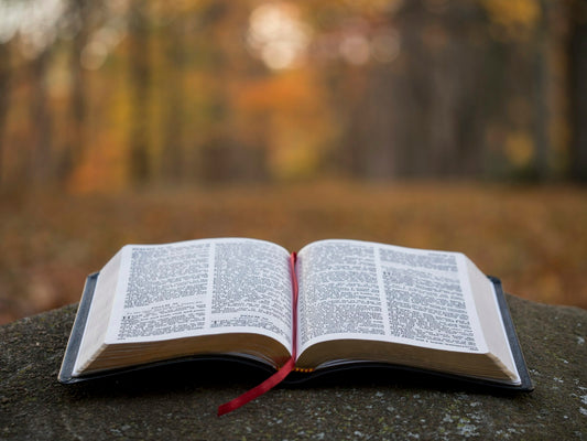 An open Bible – Best Christian Books for Teens