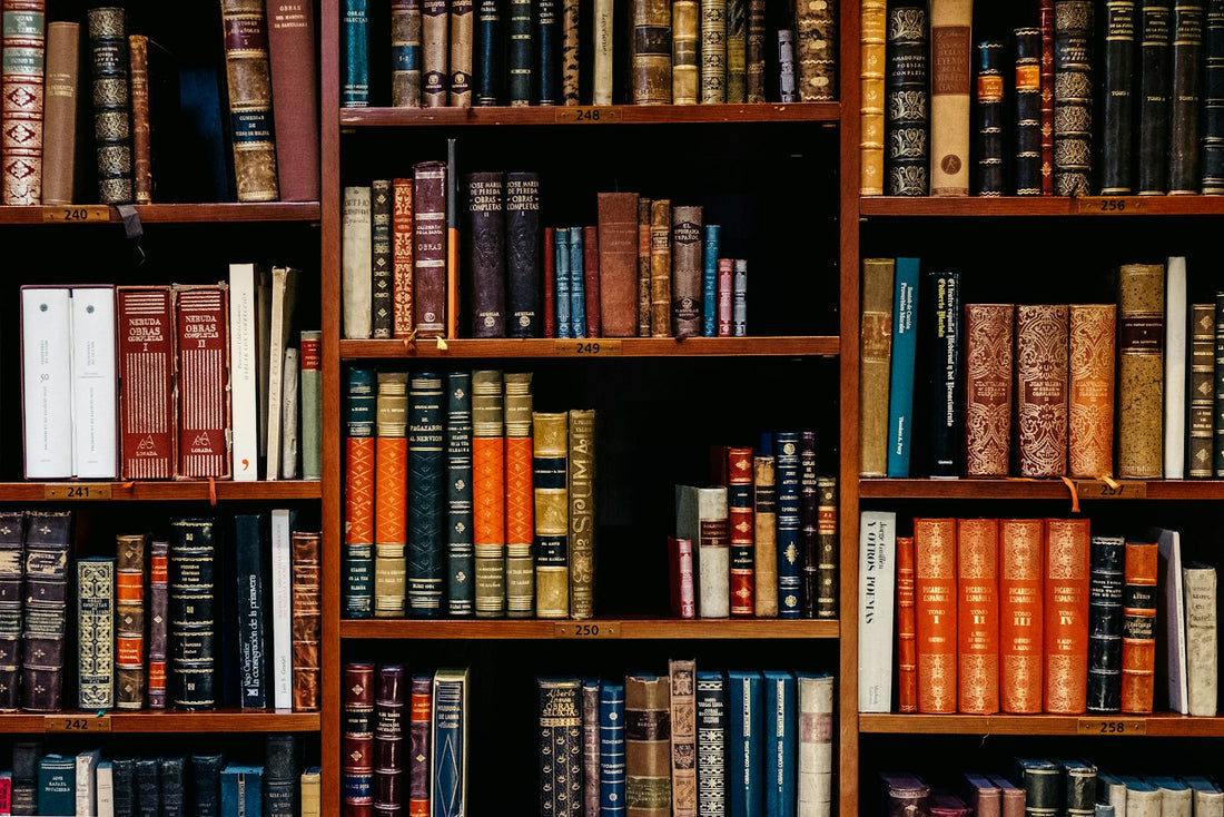 Shelves packed with assorted books – Best Book Series to Read