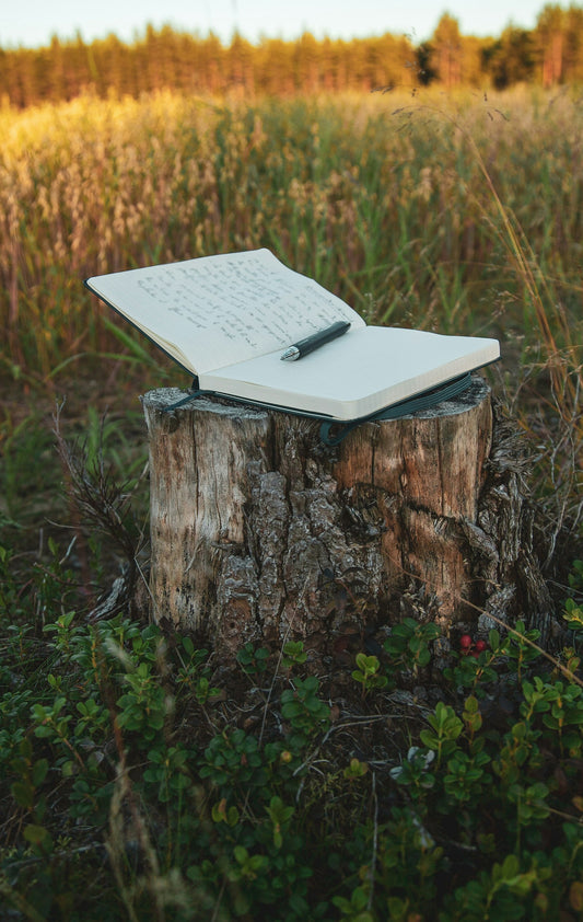 A book resting on a log outdoors – Best Living Books for Homeschool Families