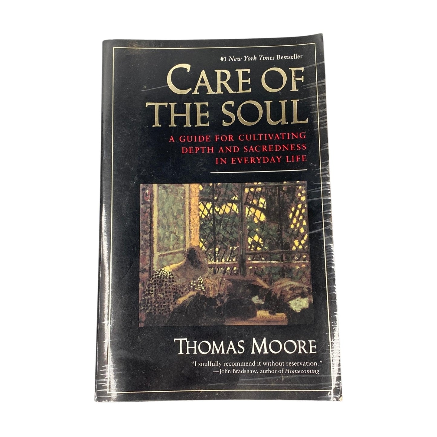 Care of the Soul : A Guide for Cultivating Depth and Sacredness in Everyday Life The Happy Book Stack