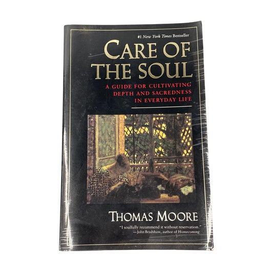 Care of the Soul : A Guide for Cultivating Depth and Sacredness in Everyday Life The Happy Book Stack