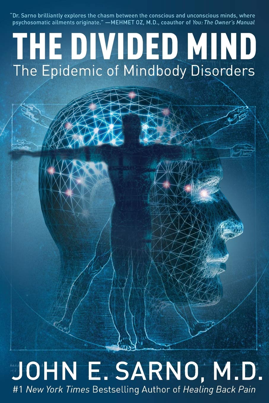 The Divided Mind: The Epidemic of Mindbody Disorders The Happy Book Stack